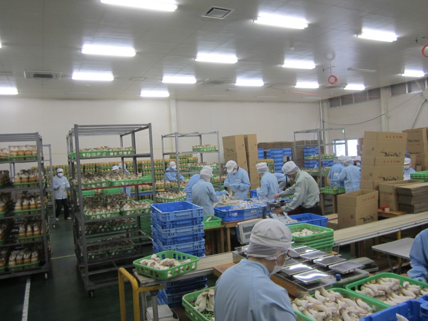 IMG 0059
